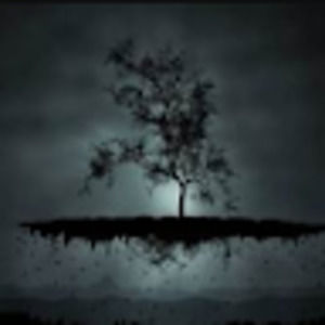 Meet your Posher, Jayden